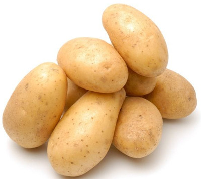 高產(chǎn)馬鈴薯 高產(chǎn)馬鈴薯