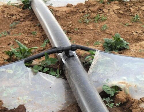 施肥方式之沖施滴灌 施肥方式之沖施滴灌