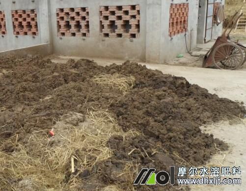 向日葵施農(nóng)家底肥 向日葵施農(nóng)家底肥