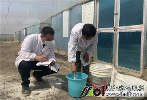 沖施肥稀釋 沖施肥稀釋