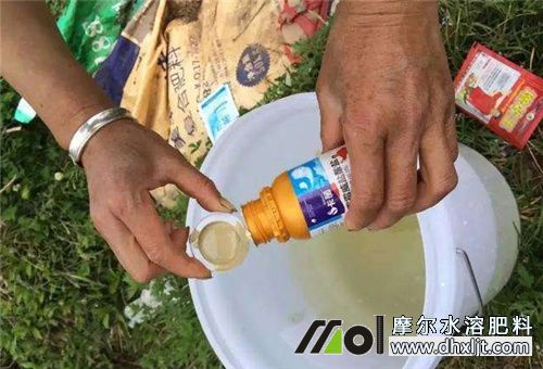 藥肥混搭 藥肥混搭