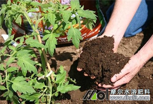 有機(jī)肥化成水沖肥 有機(jī)肥化成水沖肥