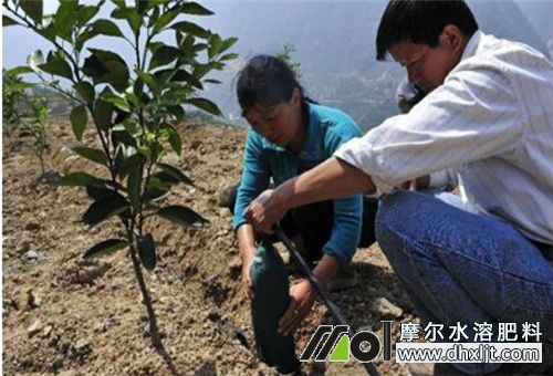 有機(jī)肥化成水沖肥 有機(jī)肥化成水沖肥