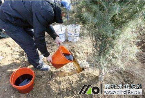 水沖肥見效時(shí)間 水沖肥見效時(shí)間