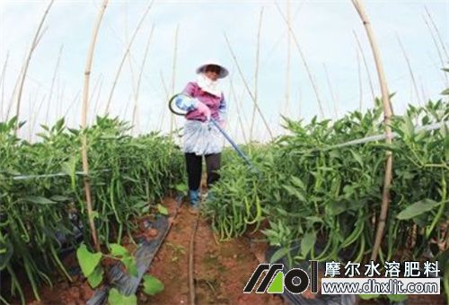 桶裝肥施肥注意 桶裝肥施肥注意