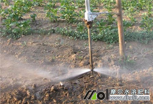 沖施肥主要功能 沖施肥主要功能