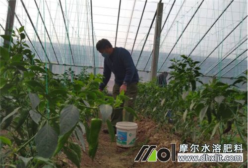 沖施肥主要功能 沖施肥主要功能