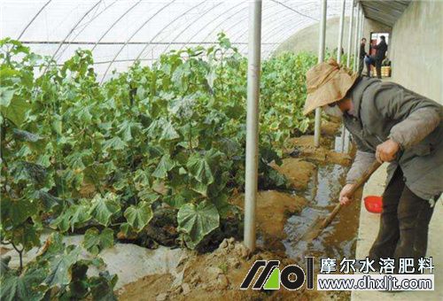 沖施肥主要功能 沖施肥主要功能