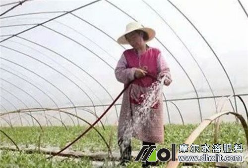 沖施肥吸收時長 沖施肥吸收時長