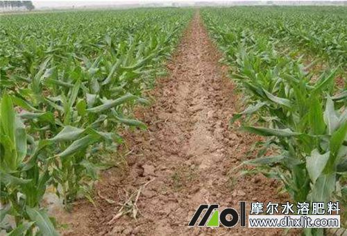 一坰地用肥量 一坰地用肥量