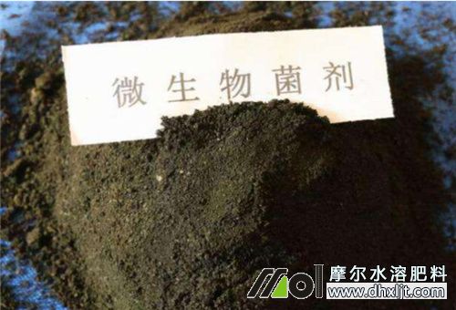 生物沖施肥好處 生物沖施肥好處