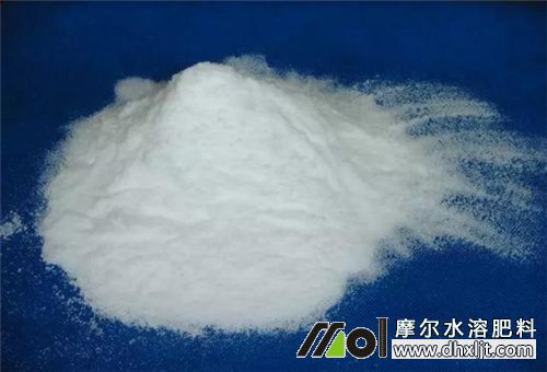 芹菜追肥選擇 芹菜追肥選擇