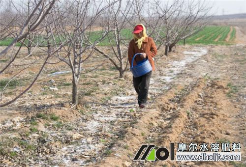 沖施肥撒地里肥效 沖施肥撒地里肥效