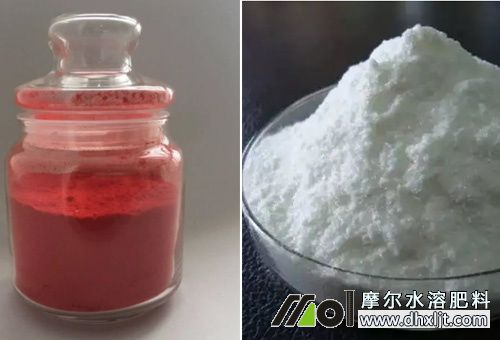 生根調(diào)節(jié)劑 生根調(diào)節(jié)劑