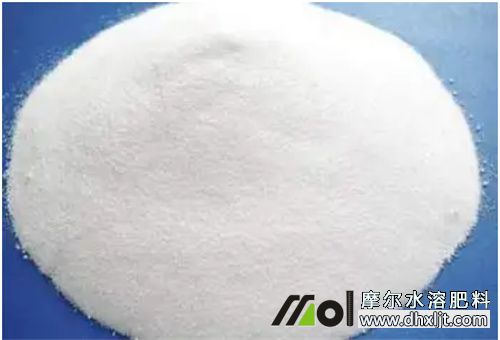 生根營(yíng)養(yǎng)元素 生根營(yíng)養(yǎng)元素