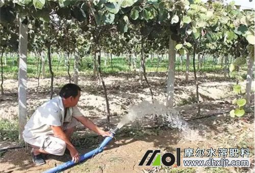 土壤板結(jié)原因 土壤板結(jié)原因