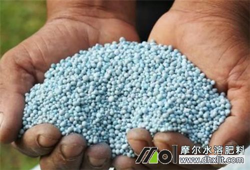 土壤板結(jié)原因 土壤板結(jié)原因