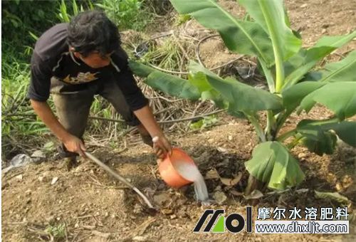 水肥均勻沖施技巧 水肥均勻沖施技巧