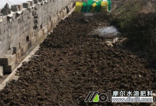 沖施肥使用前提 沖施肥使用前提