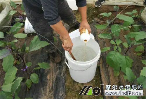 沖施肥溶解水溫要求 沖施肥溶解水溫要求