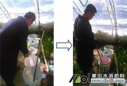 沖施肥一畝地用量 沖施肥一畝地用量