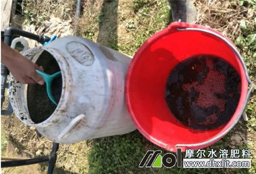 肥料沖施方法 肥料沖施方法