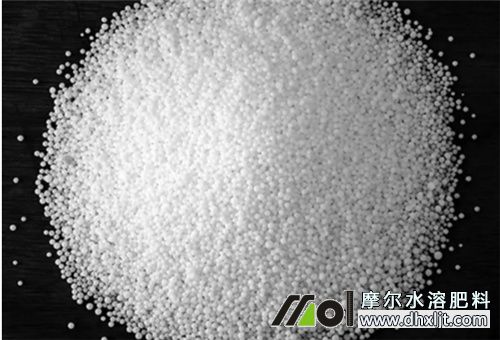 氮元素肥 氮元素肥
