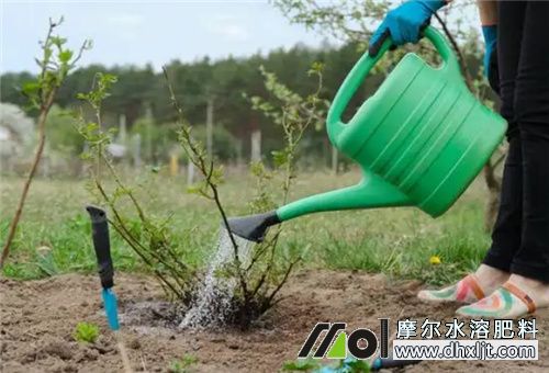 沖施肥可以自制 沖施肥可以自制