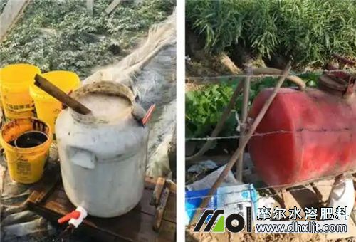 沖施肥使用時(shí)間 沖施肥使用時(shí)間