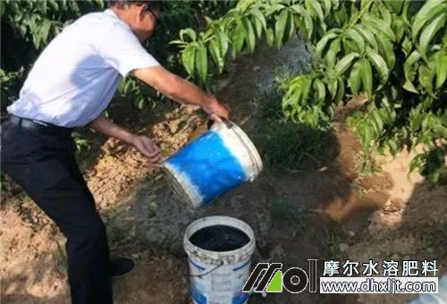 選沖施追肥理由 選沖施追肥理由